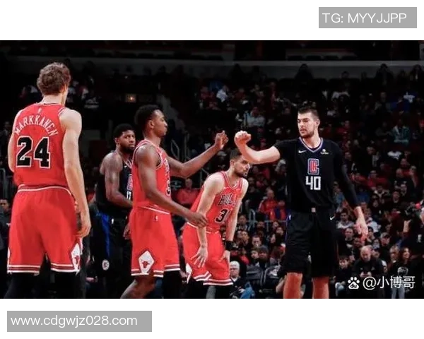 火箭队与快船队激战正酣精彩比赛360度直播全程回放与分析
