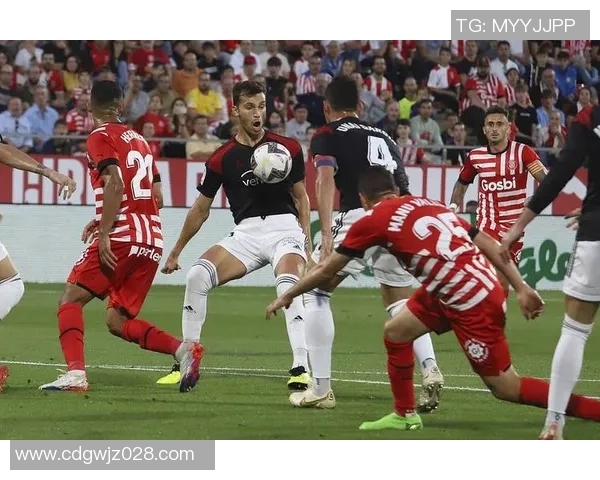 第30轮法甲精彩对决南特主场迎战强敌里尔期待精彩表现 第30轮法甲精彩对决南特主场迎战强敌里尔期待精彩表现