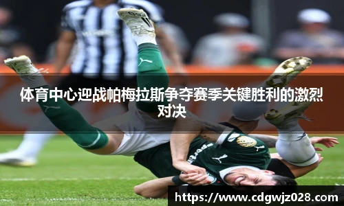 体育中心迎战帕梅拉斯争夺赛季关键胜利的激烈对决
